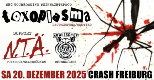 MBC Tourboxing Weihnachtspogo